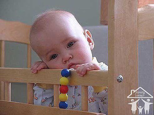 ����, ����� ������� ������� �� ������� �������: 