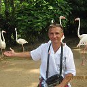 ���� ������, �������, 67 ��� - ��������� 6 ������� 2014 � ������ ���� ����������