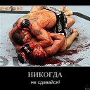 ���� �imur, ������ - ��������� 28 ������ 2014 � ������ ������ ��������