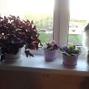 ���� �������, ��� - ��������� 4 ������ 2014