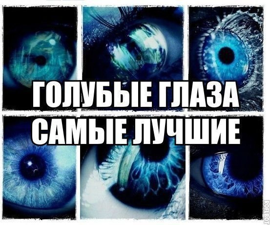 Голубо серые глаза. День голубоглазых. Голубые глаза читать. Голубые глаза читать. Голубой глаз с сердечком.