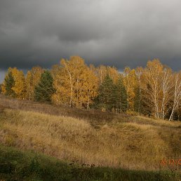 ���� ������, ������, 52 ���� - ��������� 4 �������� 2014