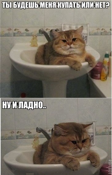 Memes&Streams - 29  2014  03:10