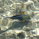 ���� �����, ����, 72 ���� - ��������� 13 ������� 2014