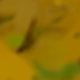 �����, ������ ��������, 50 ���