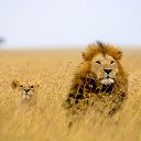 ���� �����, ��������� - ��������� 26 ������� 2014 � ������ ������ ��������