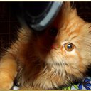 ���� �������, ���� - ��������� 23 ������� 2014 � ������ ���� ����� �����)))�