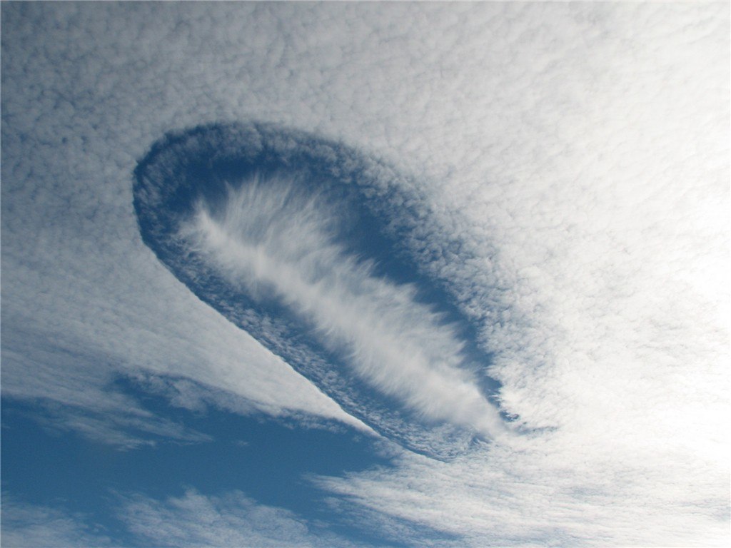   -  Fallstreak. - 4