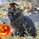  Viktoria Aleksandrina,  -  25  2014    