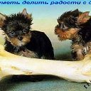 ���� �����, ������ - ��������� 28 �������� 2014 � ������ ���� ����������