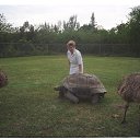 ������ ���� ������ �� ������� ���� ����������