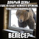 ���� ���������, ������, 43 ���� - ��������� 4 �������� 2014 � ������ ������ ��������