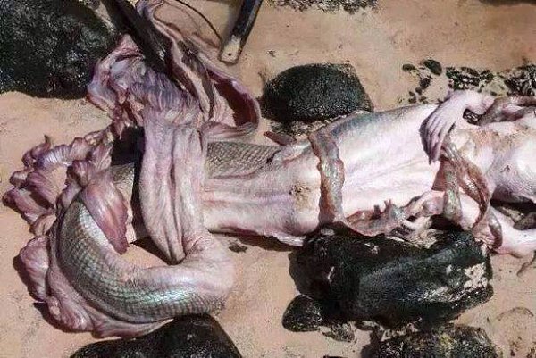  !        , .  ... - 5