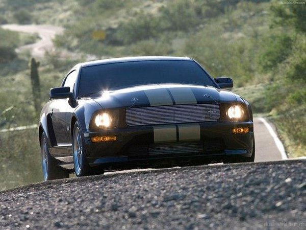 Ford Mustang Shelby GT-H - 5