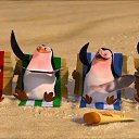 ���� �����, �������� - ��������� 28 ������� 2014 � ������ ������ ��������