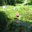 ����������� ����.���� 2014 ����. �� ������� ������ � ���������.�