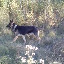 ����� �� ������� �������