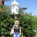 ���� ����, ���������, 58 ��� - ��������� 31 ������� 2014 � ������ ��������