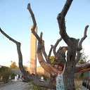 ���� �����, ������������ - ��������� 29 �������� 2014 � ������ ���� ����������