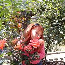  , , 46  -  22  2014    2014