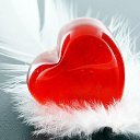 ���� �������, ������������ - ��������� 31 ������� 2014 � ������ ������ ��������