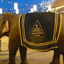  ,  -  4  2014    2014