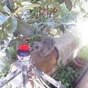 ���� �������, �����������, 63 ���� - ��������� 24 ������� 2014 � ������ ���� ����������