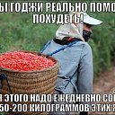 ���� @��., ������ - ��������� 12 ������ 2014 � ������ ������ ��������