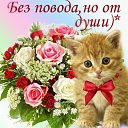 ���� ����, ������, 54 ���� - ��������� 9 ������� 2014