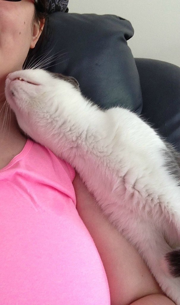   :3 - 5