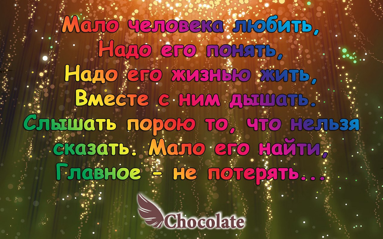 hocolate - 5  2014  21:26