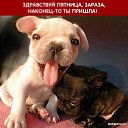 ���� ������, ������ - ��������� 5 �������� 2014 � ������ ������ ��������