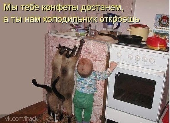  - 9  2014  13:33