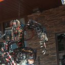 ���� ������, �����-���������, 45 ��� - ��������� 7 �������� 2014 � ������ ������ ��������