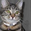 ���� ������, ������, 45 ��� - ��������� 7 ������� 2014 � ������ ���� ����������