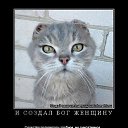 ���� �������, ��������-��-������, 48 ��� - ��������� 10 ������ 2014 � ������ ������ ��������