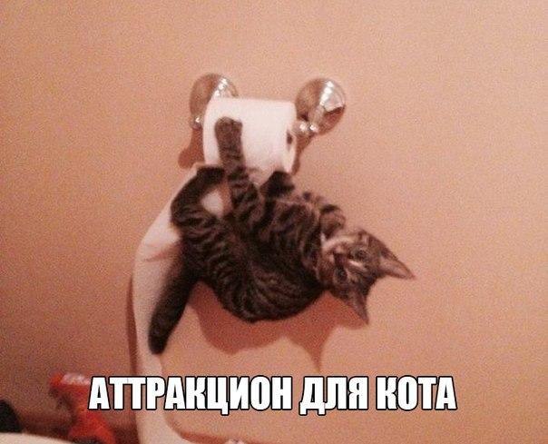  -  - 24  2014  19:00