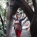  , -, 54  -  5  2014    .  2014