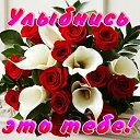 ���� �������, �����, 50 ��� - ��������� 5 �������� 2014 � ������ ������ ��������