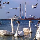 ��� ����� �� ������� ���� ����������