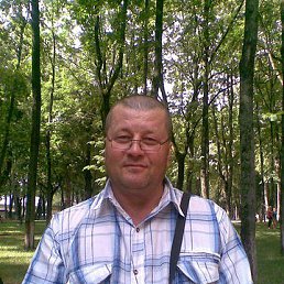 ������, ������, 65 ���