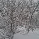 ���� ��������, ������, 78 ��� - ��������� 26 ������� 2014