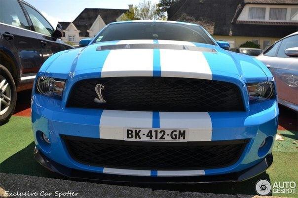 Shelby GT500, 2011.