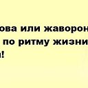  ,  -  5  2014    