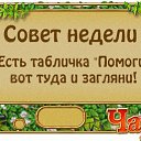 ���� ������ �-180��, ���������, 44 ���� - ��������� 20 ������ 2014 � ������ ��������