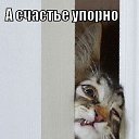 ���� Tom, ����� - ��������� 5 ������ 2014 � ������ ������������!�