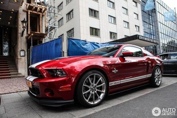 Shelby GT500 '2013 - 2