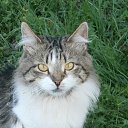 ���� ���������, �������, 41 ��� - ��������� 25 ������� 2014 � ������ ���� ����������