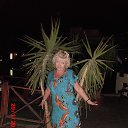  ,   -  6  2014     2014