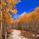  , , 36  -  6  2014   Canada, Quebec